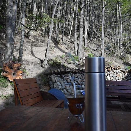 Cabana Suenos Del Fin Del Mundo Ushuaia Ngoại thất bức ảnh